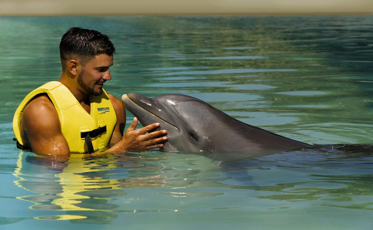 Dolphin Connection: Un Encuentro Inspirador con Delfines en Dolphinaris Riviera Maya