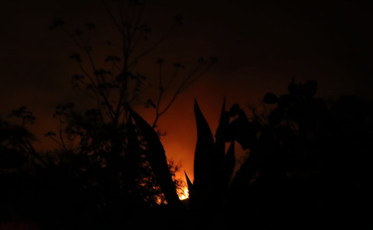 Registra Querétaro 27 incendios forestales en lo que va del 2024
