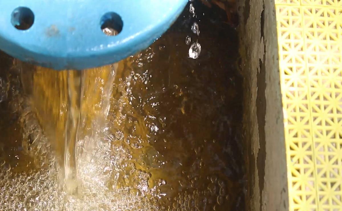 Reporta CEA 151 denuncias por desperdiciar agua potable en Querétaro